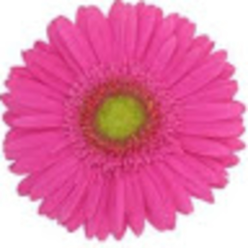 Meet your Posher, Vicki